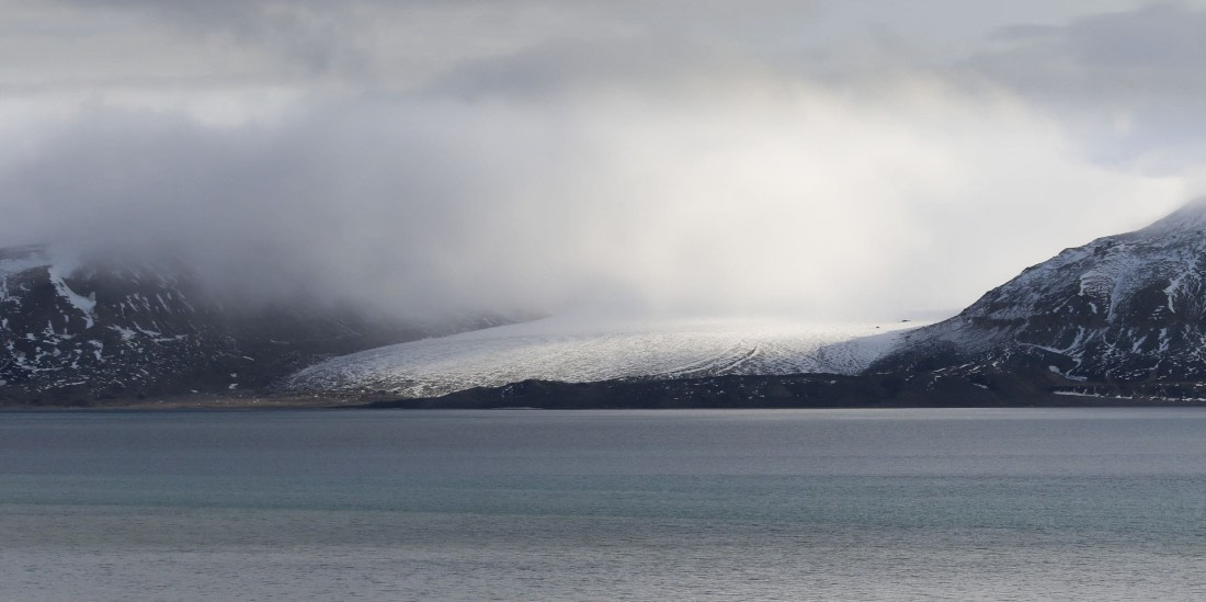 Svalbard Summer 2019