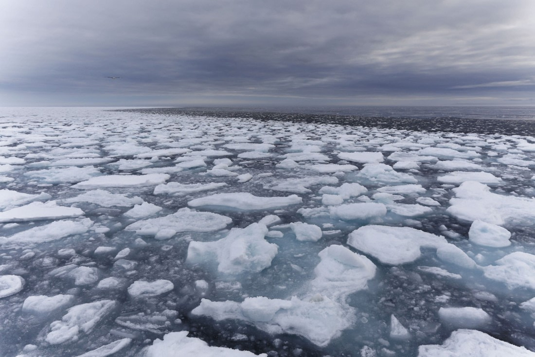 Svalbard Summer 2019