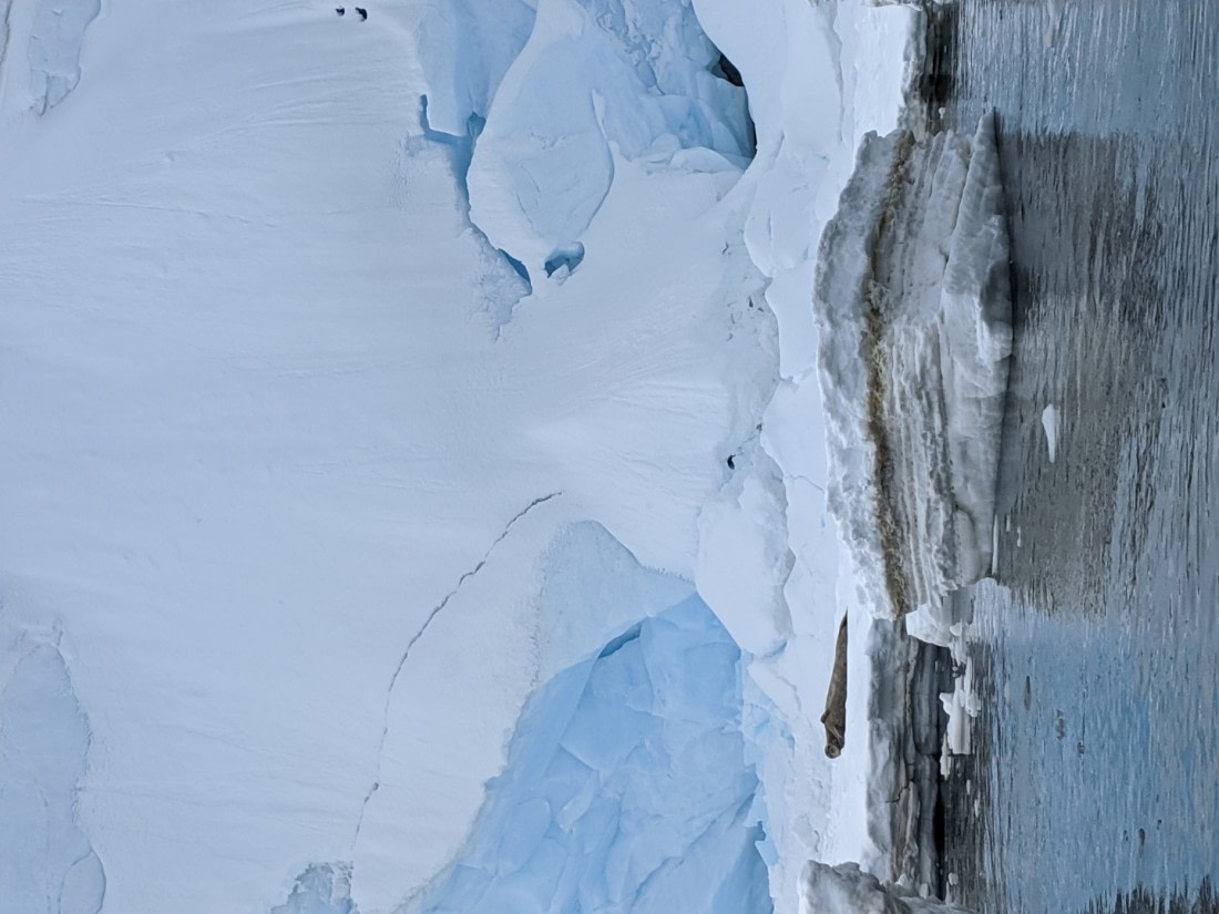 Face in the ice