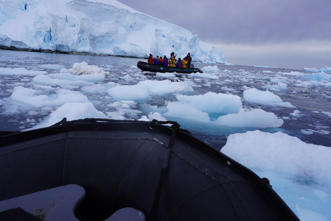 Antartica Zodiac trip