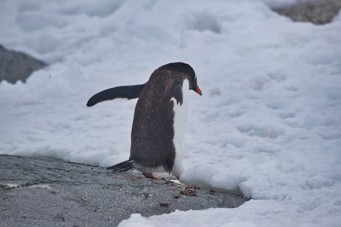 Should I stay or should I go