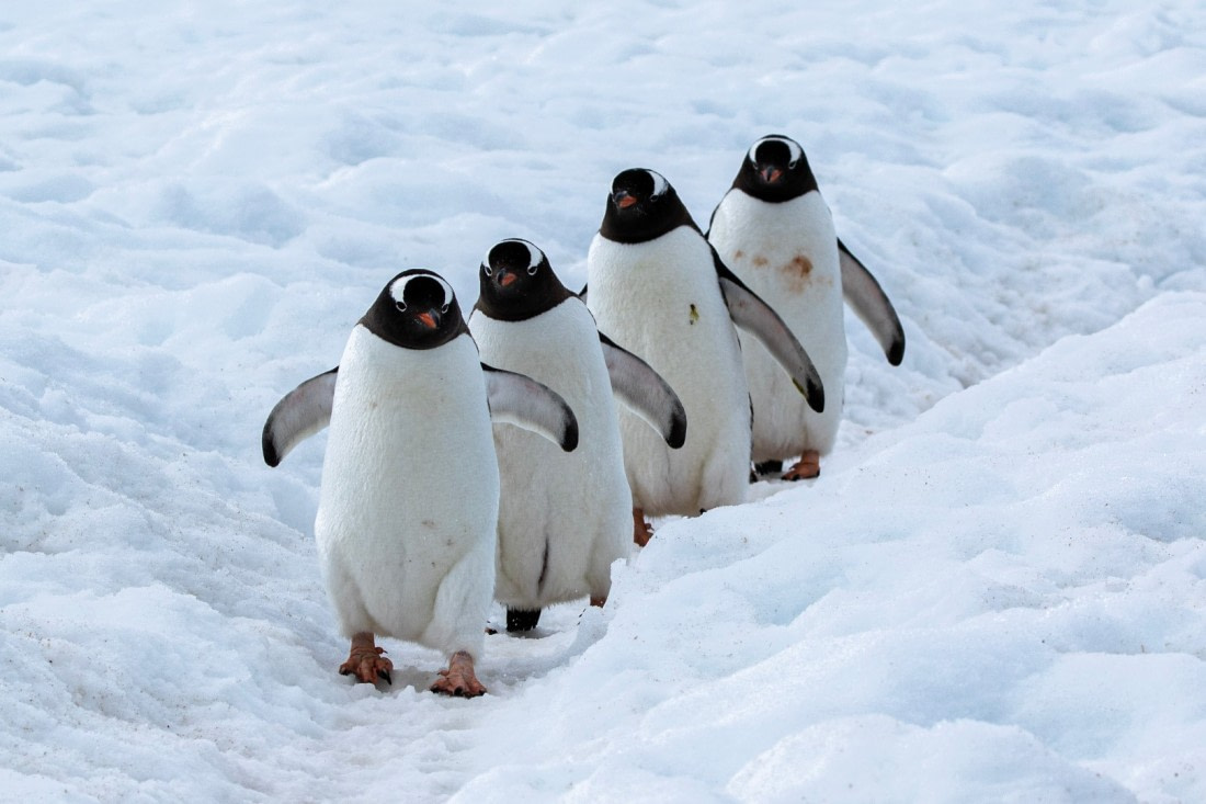 Left, Right, Left...