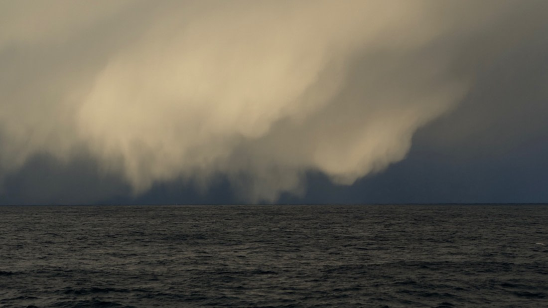 Whale searching Andenes ....