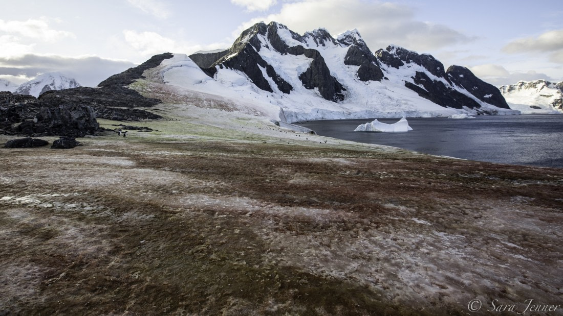 Port Charcot © Sara Jenner - Oceanwide Expeditions.jpg