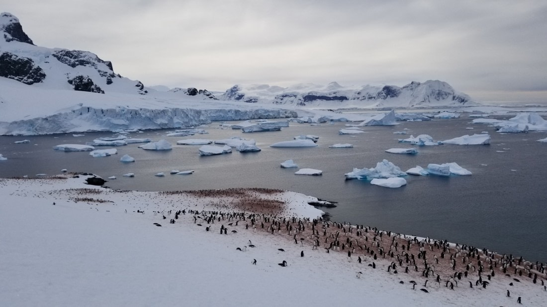 Huddled in their masses