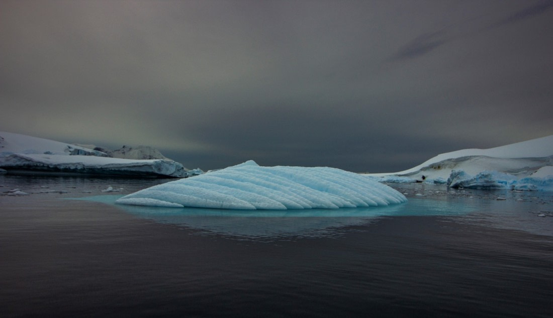 Humpback Iceberg