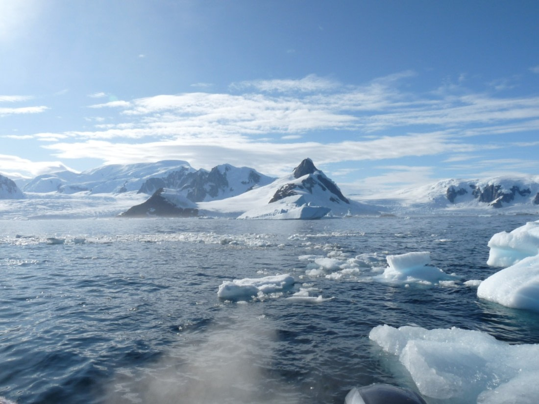 Beautiful sunny day by Yalour Island © Ria van Zessen - Oceanwide Expeditions,jpg