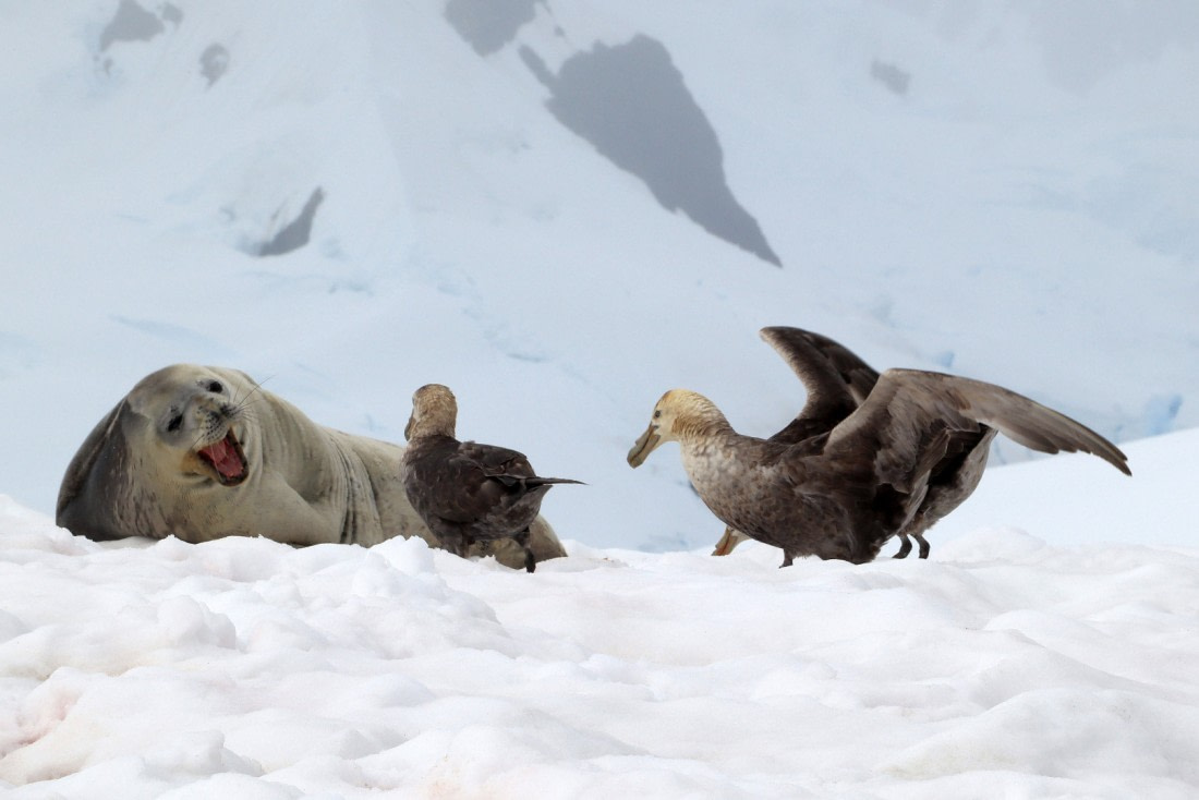 Get the f*ck out of here