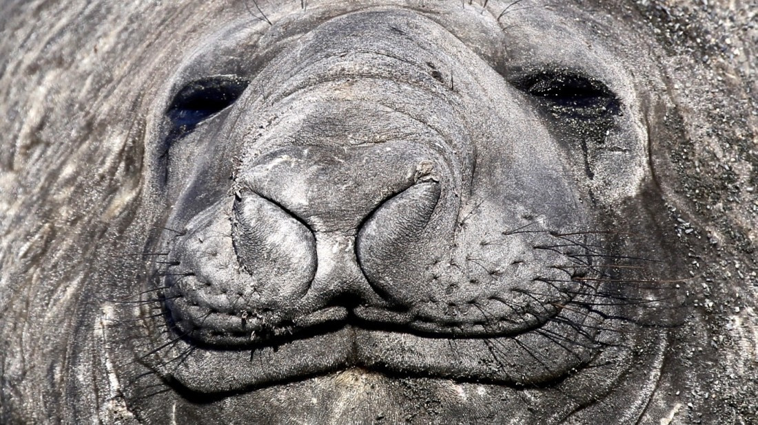 Up Close and Personal