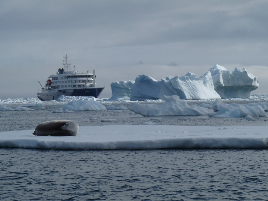 The Hondius over the Antartic circle
