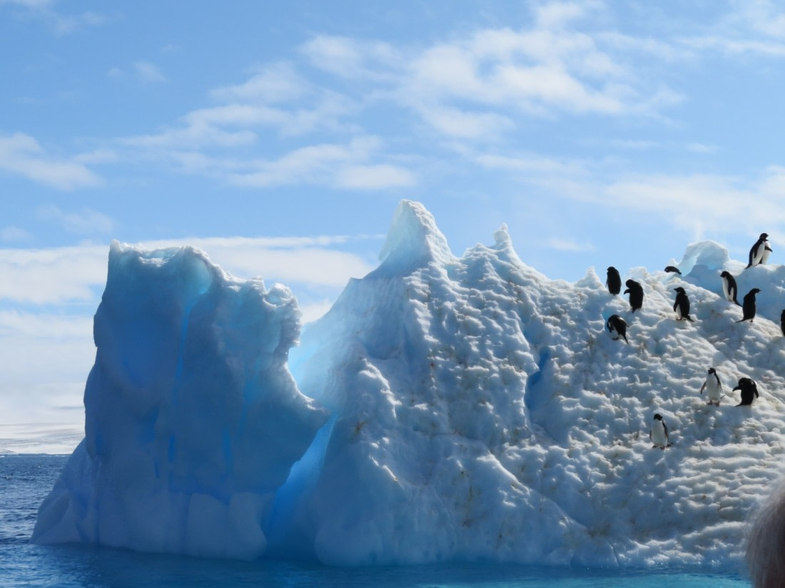 Paulet Island © Sanneke van der Sanden - Oceanwide Expeditions.jpg