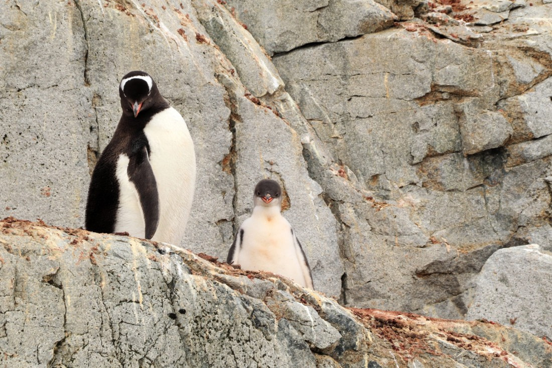 who do you think are you talking to