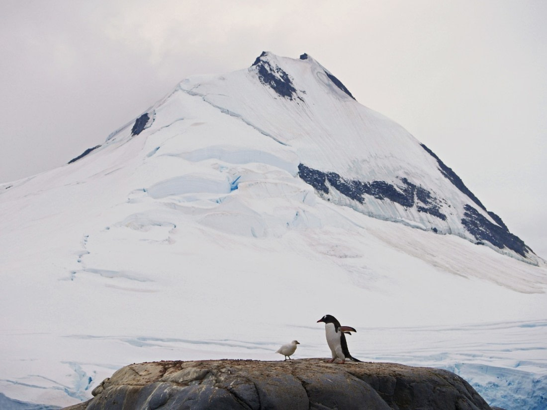 Stop following me around