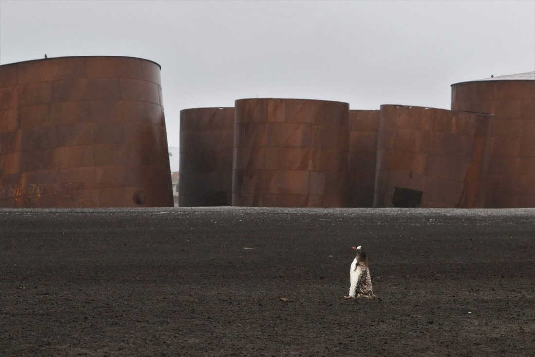 People! What did you do to my lovely Antarctica?