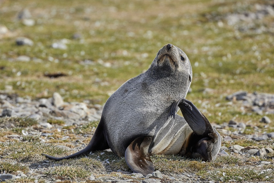 Erholsamer Nachmittag