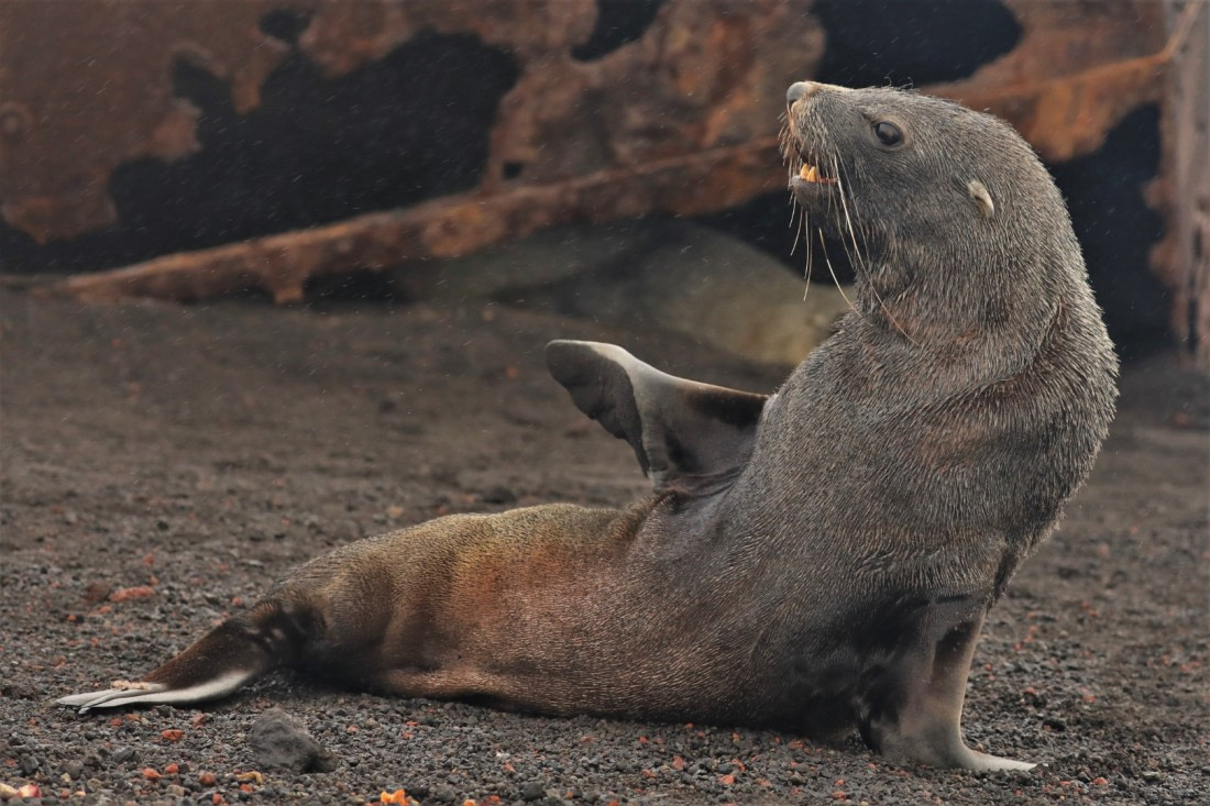 Hey mate, how are you?