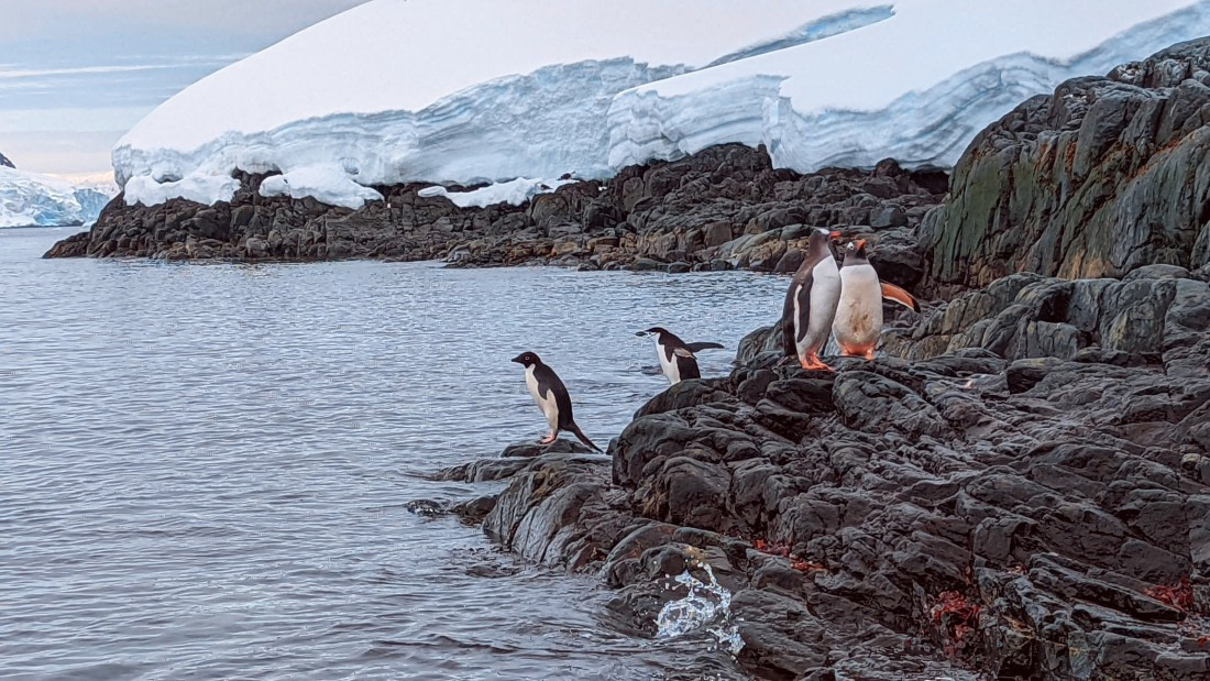 All of them together