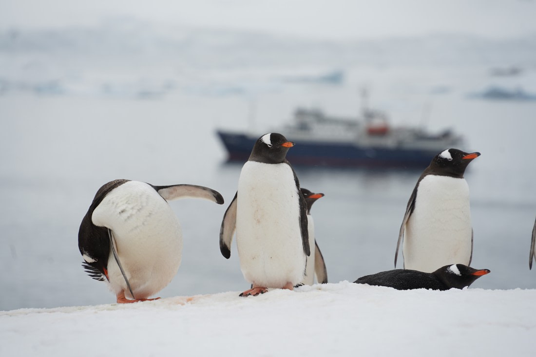 Disfrutando del verano