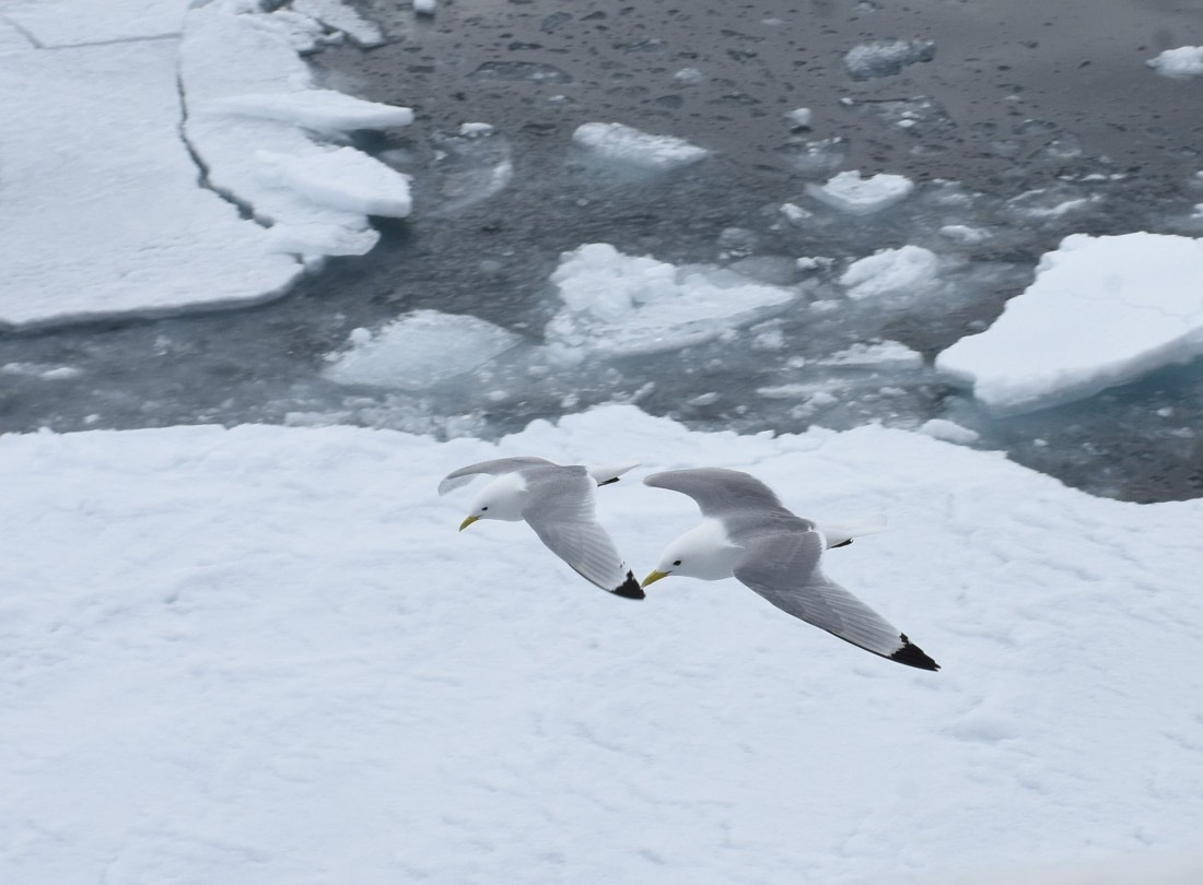 The two of us above the ice