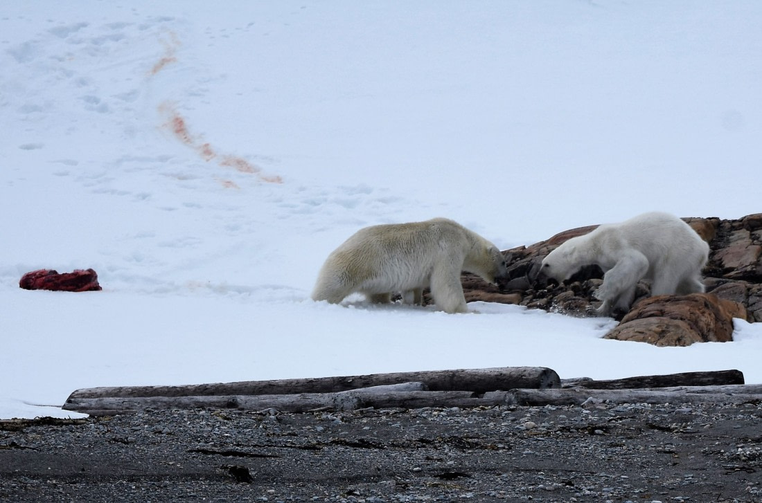 This lunch is mine now!