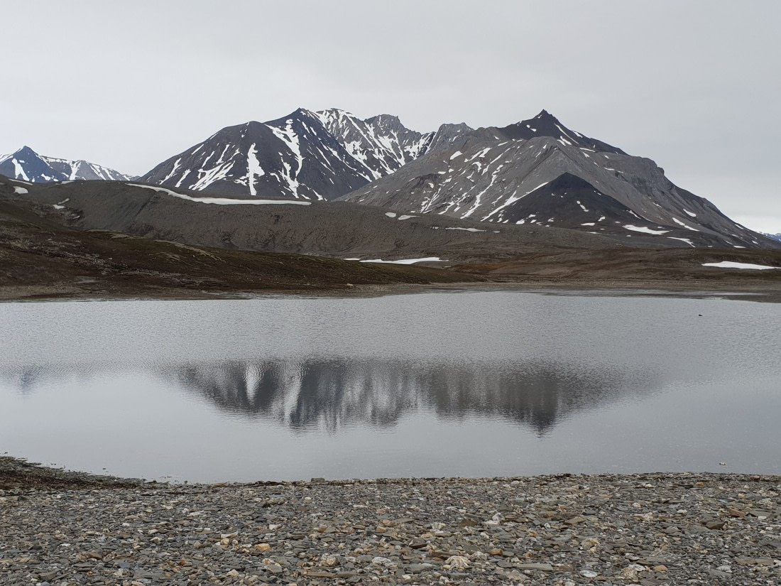 Gray can be beautiful, too!