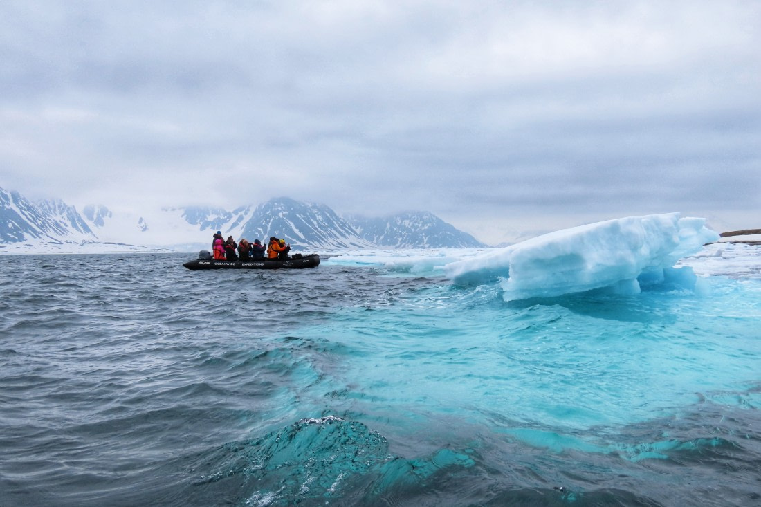 Searching for polar bears