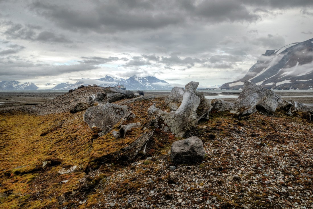 Beautiful graveyard.