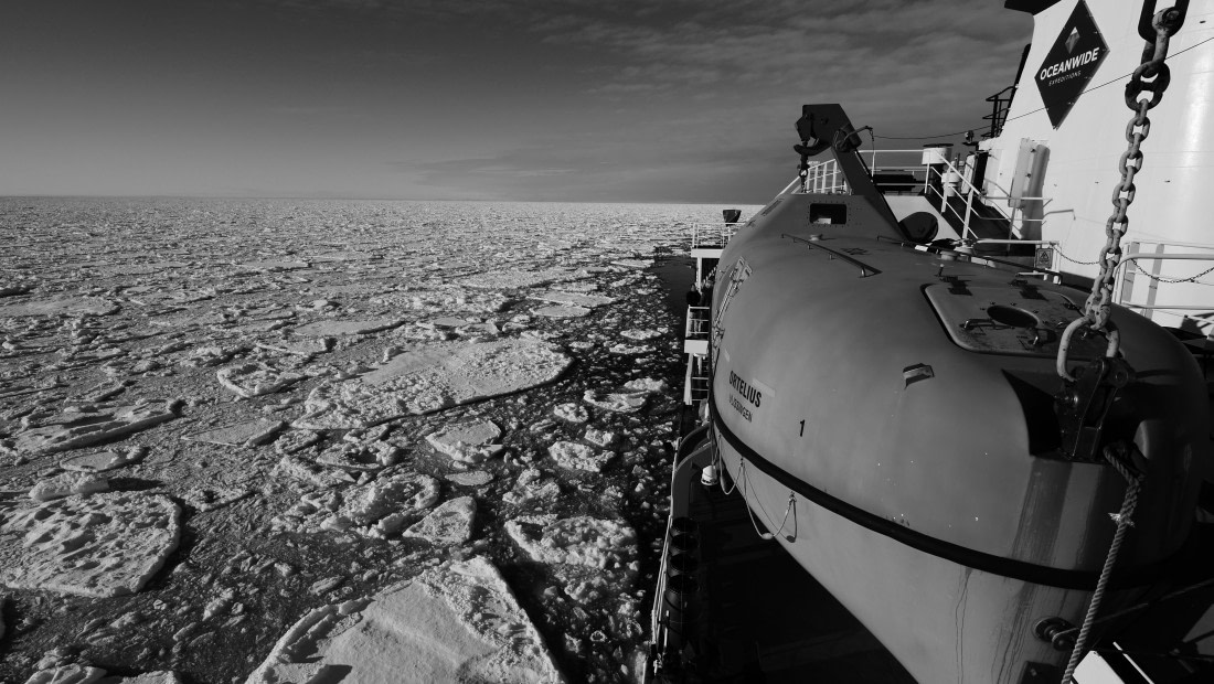 Ortelius black & white