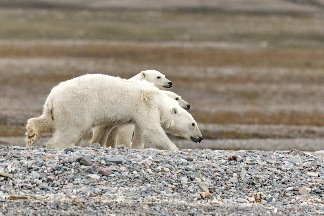 mom take care of you