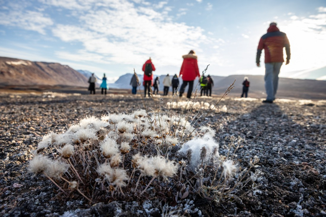 Walk into and become part of nature in the Scoresby Sund with Oceanwide Expeditions