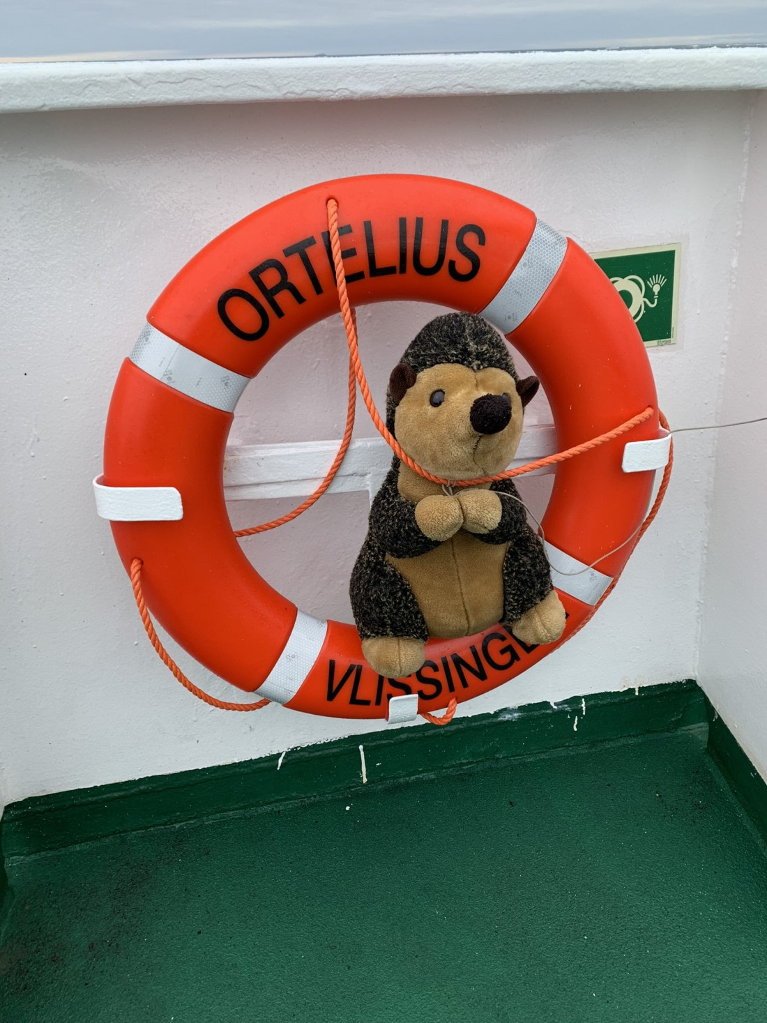 Blinder Passagier auf der MS Orteilius