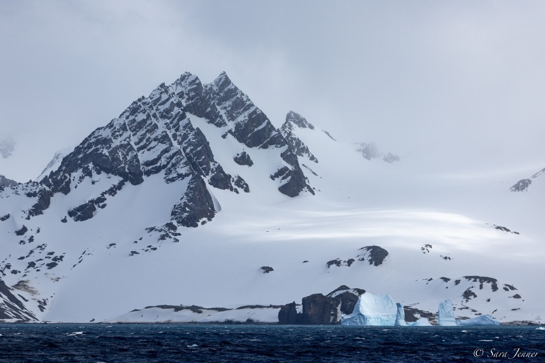 OTL21-22, Day 14, Elephant Island 3 © Sara Jenner - Oceanwide Expeditions.jpg