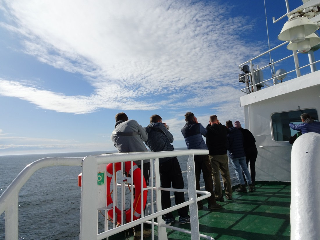 There must be something interesting