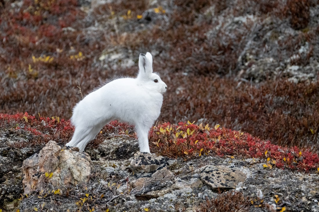 Yoga in the morning_1