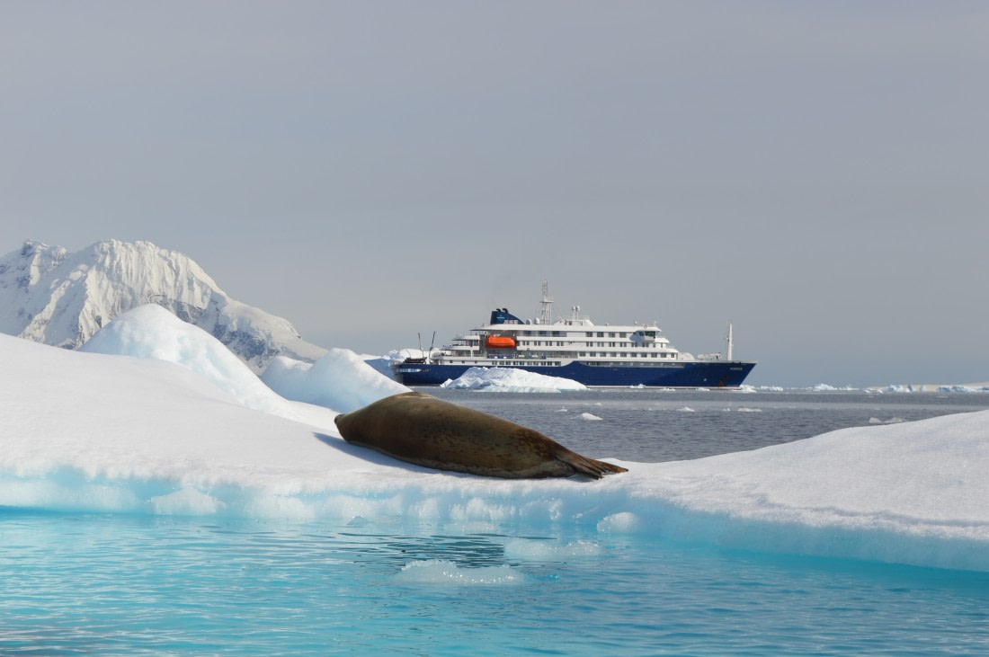 wildlife with the Hondius