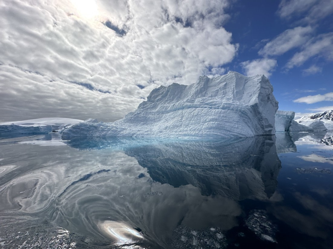 Foyn harbour reflections