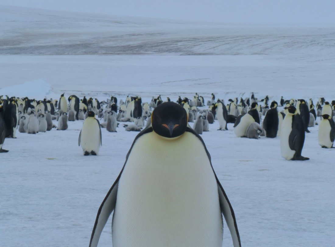 Welcome to Snow Hill