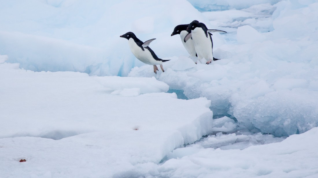 This is how you do it!