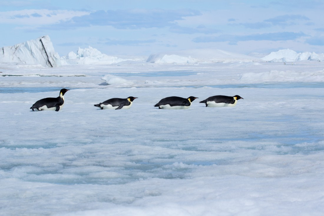 The beauty of Antarctica