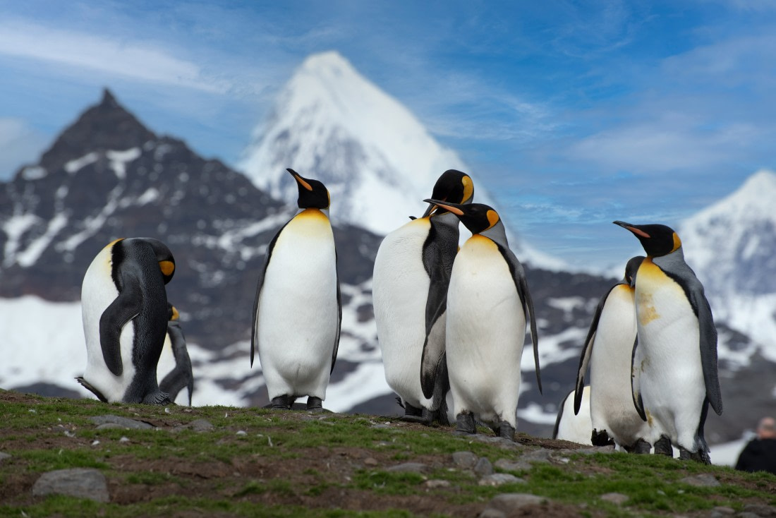 Disfrutando de la fauna