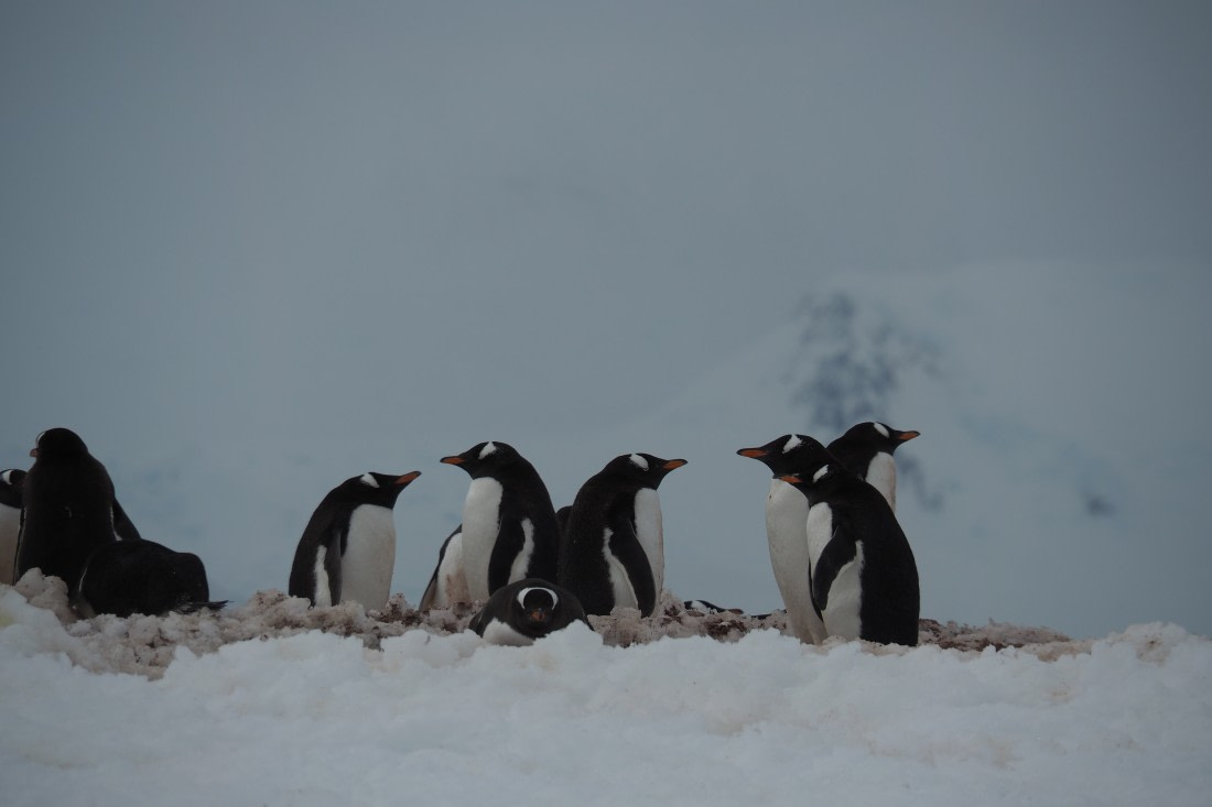 "And what are we waiting fo?!"