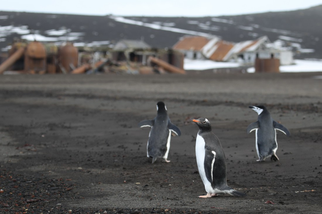 escaping from intruders