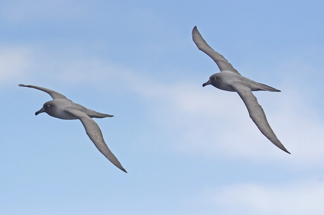 flying must be amazing