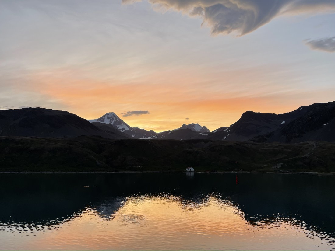 Grytviken sunset
