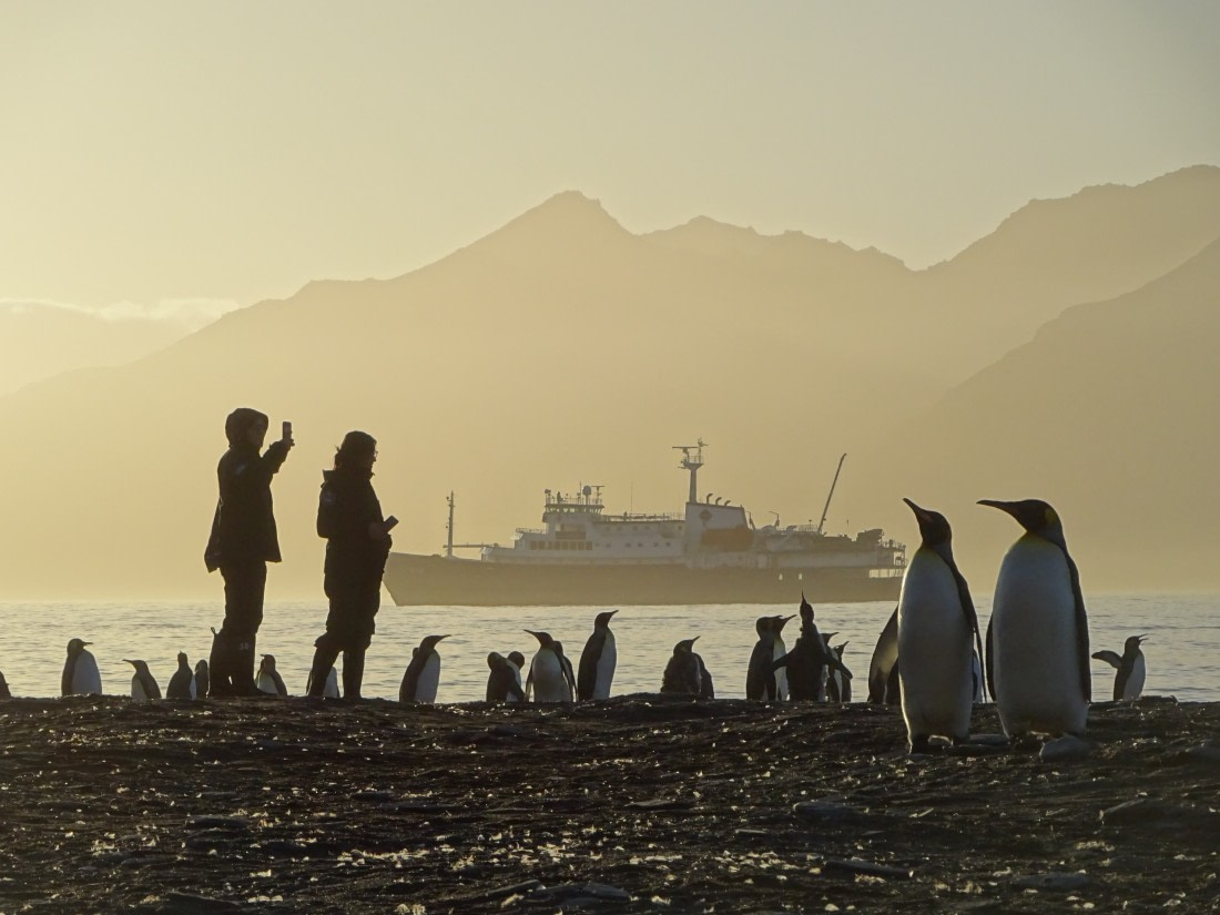 Dawn at St Andrews Bay