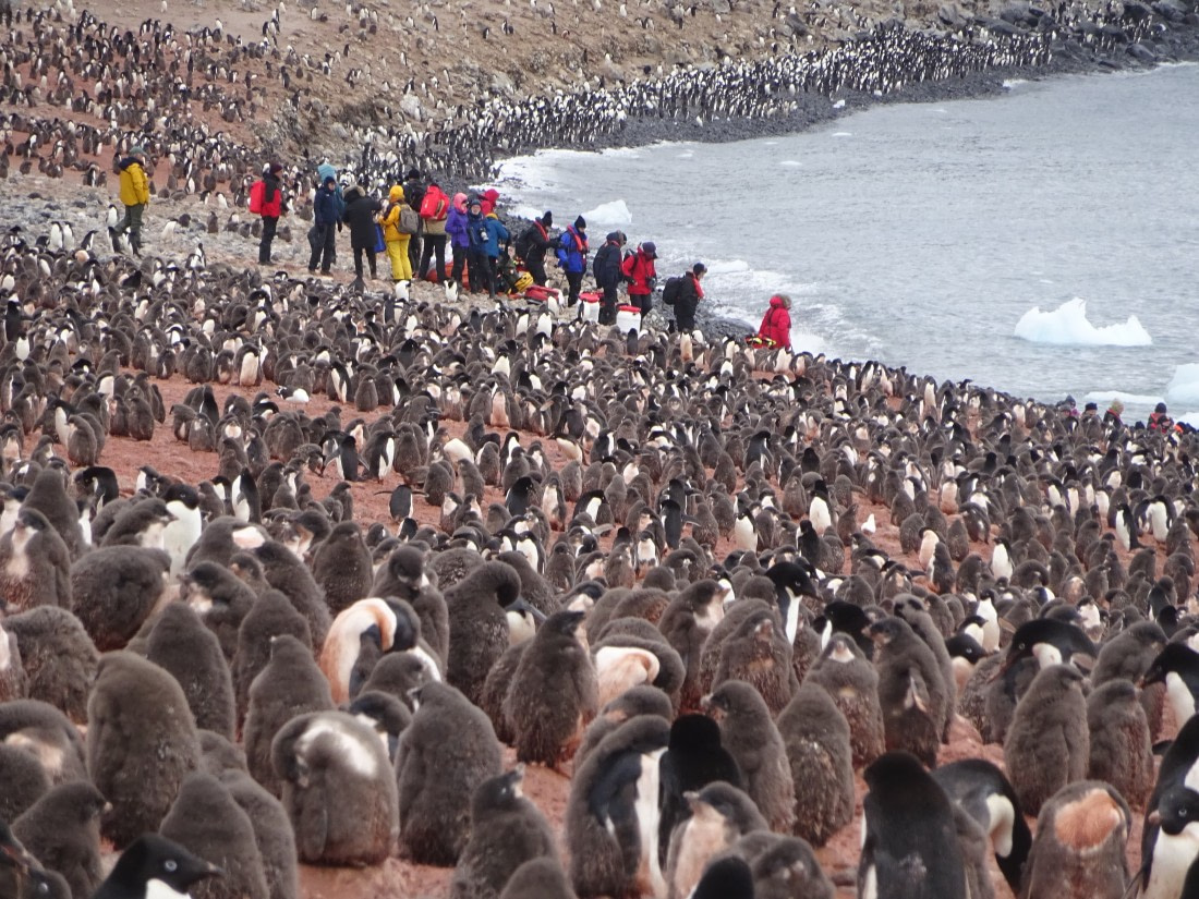 Not much room for incomers