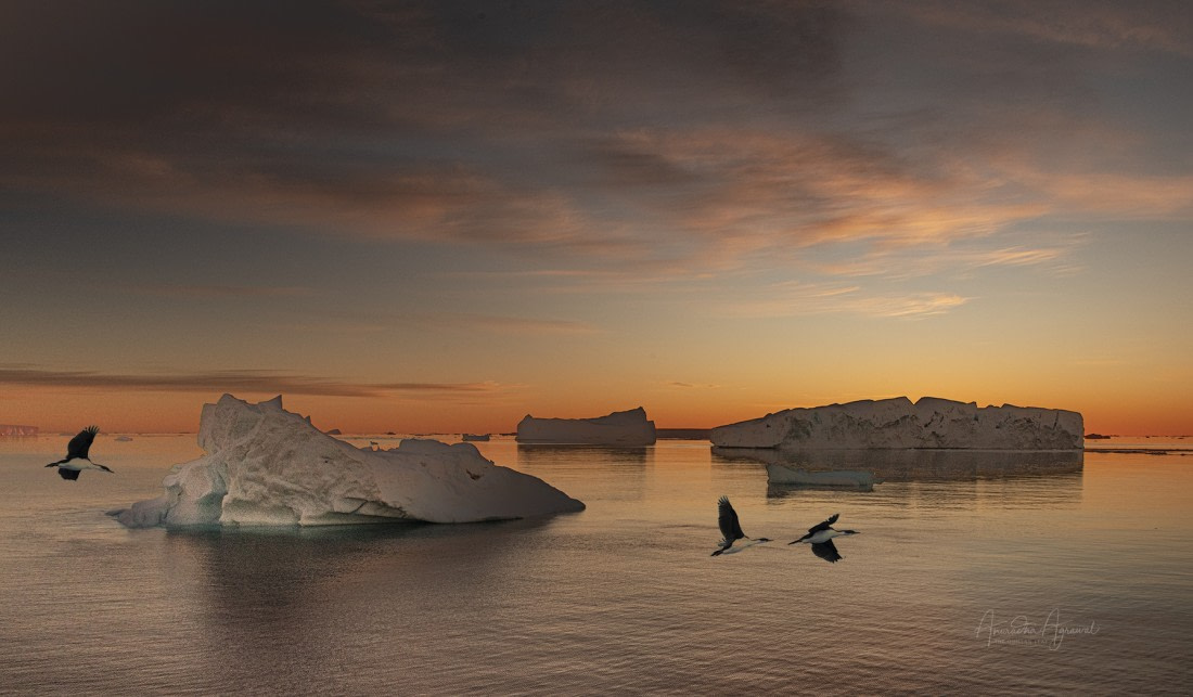 In coversation with dawn