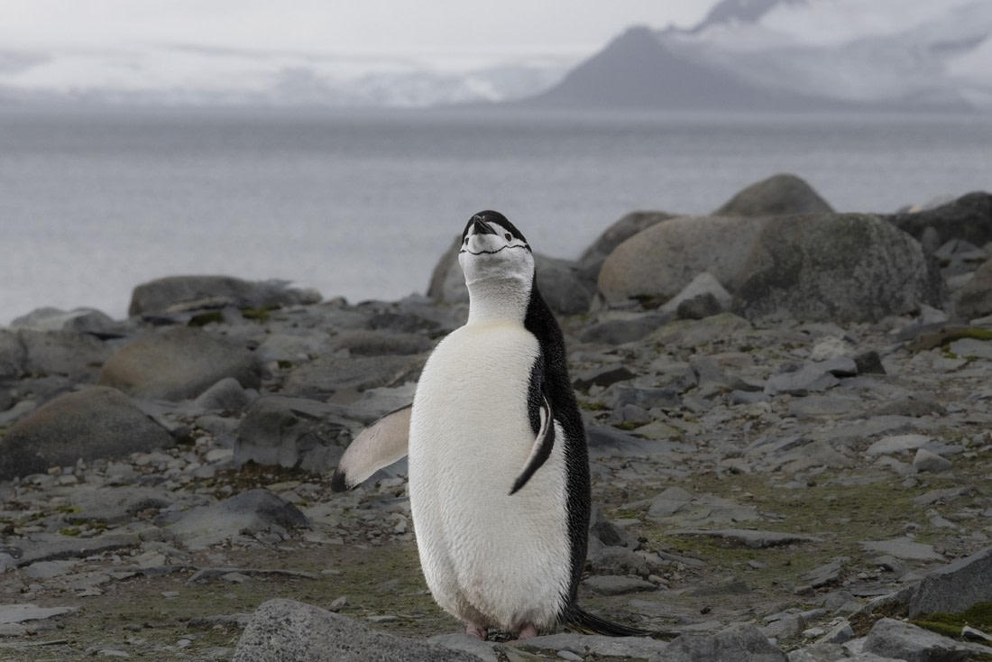 In conversation with God