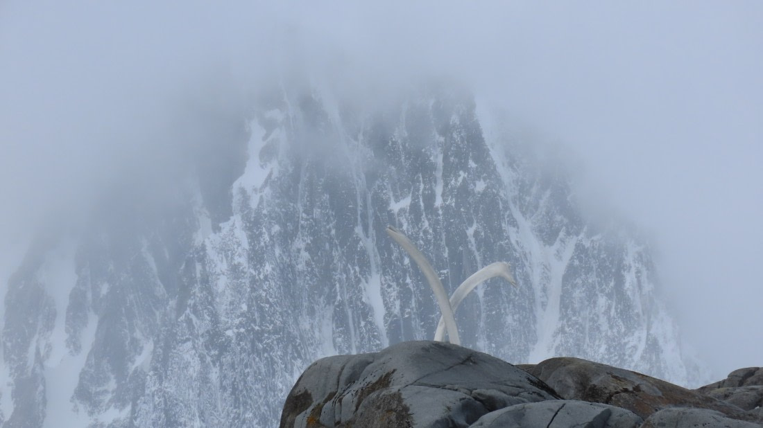 whalery remains at Port Lockroy