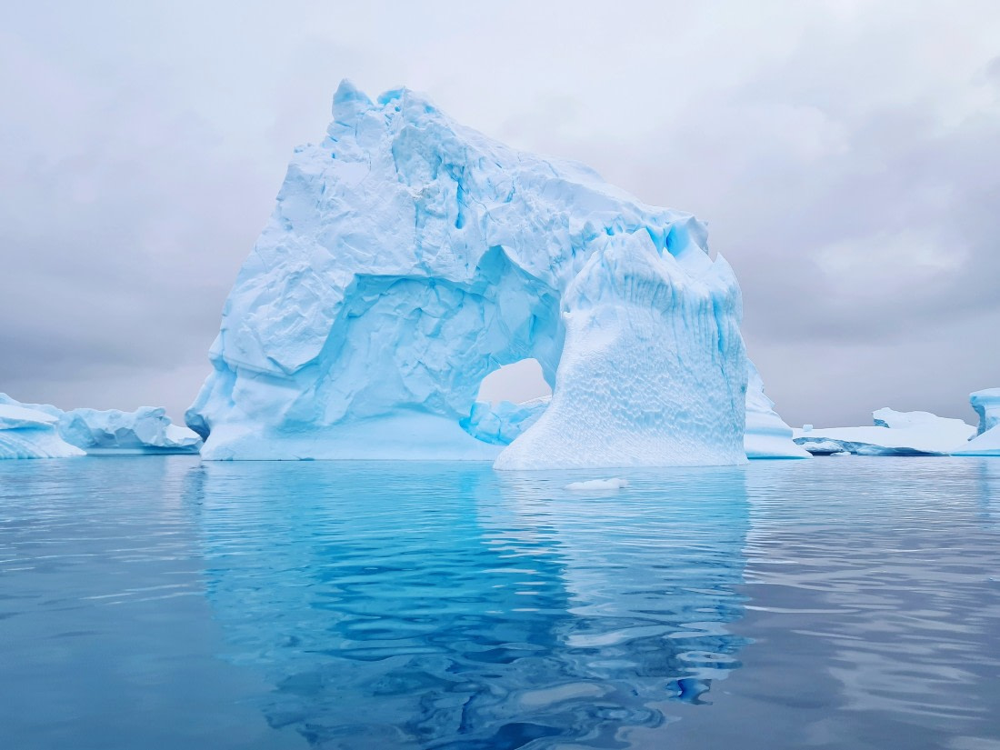 Antarctic beauty